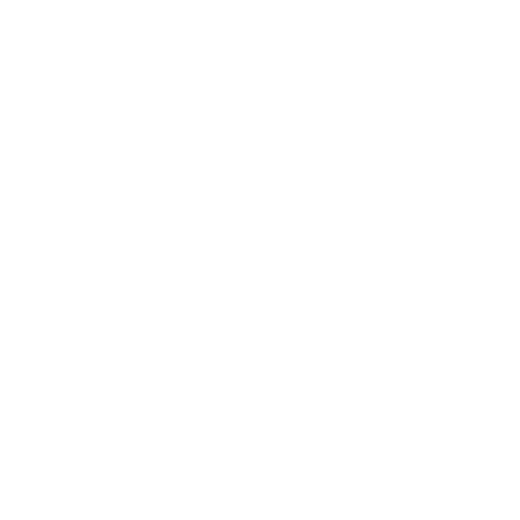 Accueil 1 loupe blanc